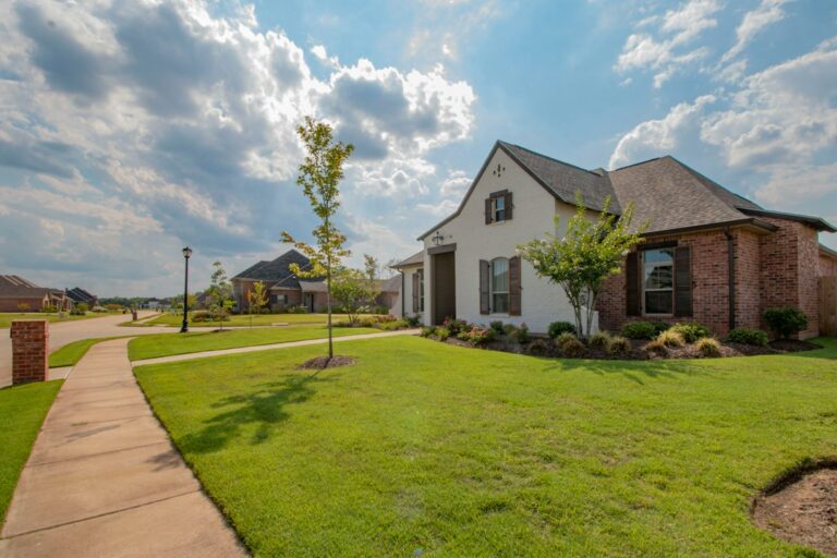 Homeowner organizing a clean living room while preparing a house for sale.